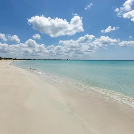 Poseidon By Barbarhouse